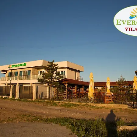 Evergreen دووا مايْ