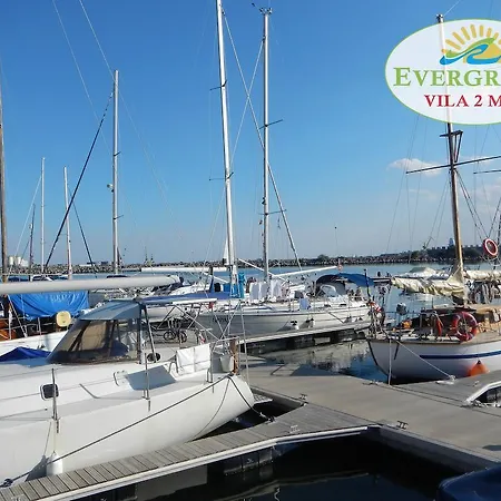 Evergreen * Două Mai